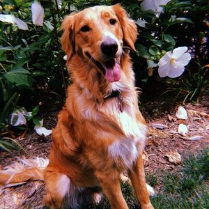 Meet your Posher, Sabrina